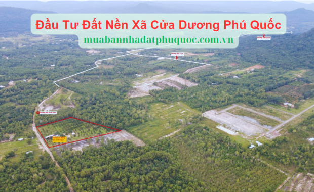 Phân Tích Thị Trường Bất Động Sản Phú Quốc: Đầu Tư Đất Nền Xã Cửa Dương