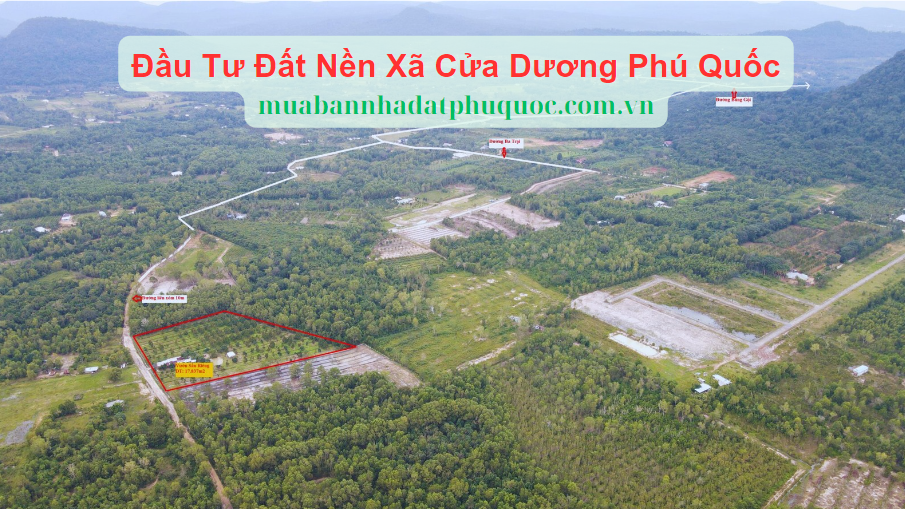 Phân Tích Thị Trường Bất Động Sản Phú Quốc: Đầu Tư Đất Nền Xã Cửa Dương