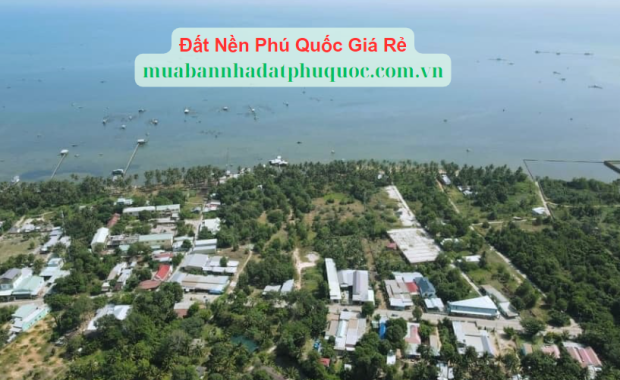 Đất Nền Phú Quốc Giá Rẻ: Cơ Hội Đầu Tư Tốt Nhất