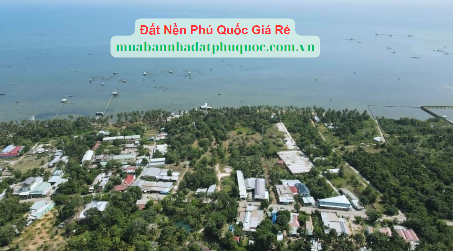 Đất Nền Phú Quốc Giá Rẻ: Cơ Hội Đầu Tư Tốt Nhất