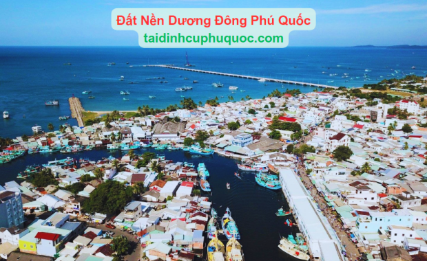 So Sánh Giá Đất Nền Dương Đông Và Các Khu Tái Định Cư Dương Đông