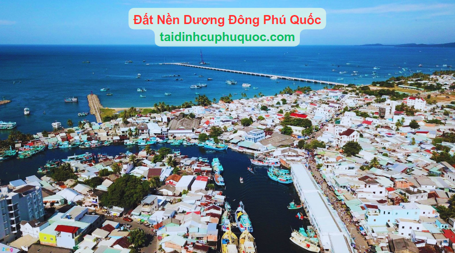 So Sánh Giá Đất Nền Dương Đông Và Các Khu Tái Định Cư Dương Đông